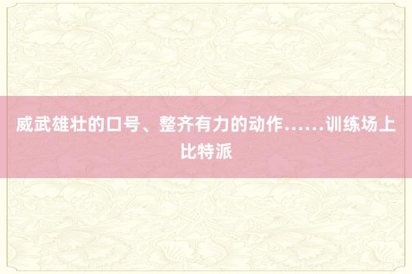 威武雄壮的口号、整齐有力的动作……训练场上比特派