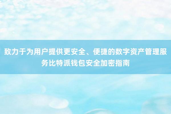 致力于为用户提供更安全、便捷的数字资产管理服务比特派钱包安全加密指南