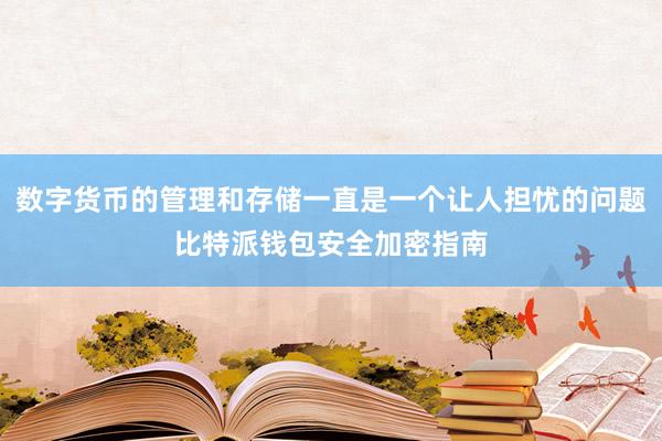 数字货币的管理和存储一直是一个让人担忧的问题比特派钱包安全加密指南