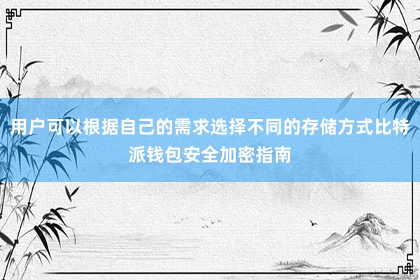 用户可以根据自己的需求选择不同的存储方式比特派钱包安全加密指南