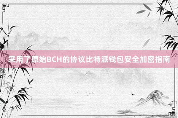 采用了原始BCH的协议比特派钱包安全加密指南