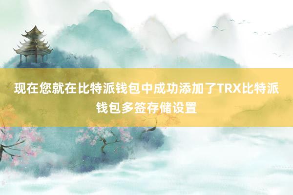 现在您就在比特派钱包中成功添加了TRX比特派钱包多签存储设置