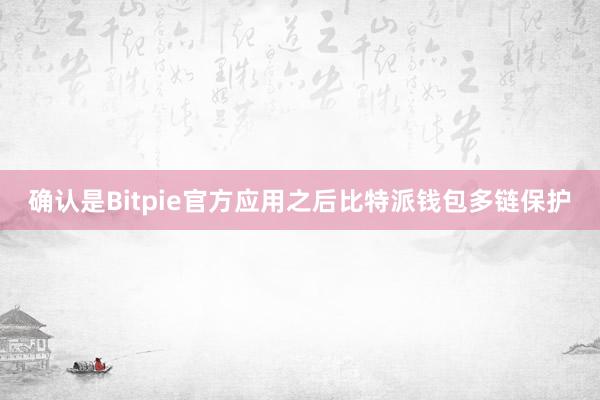 确认是Bitpie官方应用之后比特派钱包多链保护