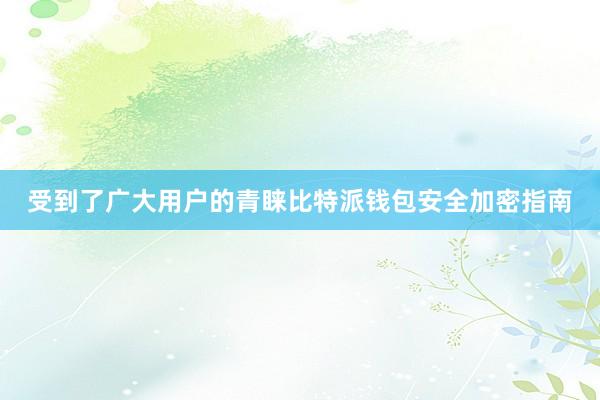 受到了广大用户的青睐比特派钱包安全加密指南