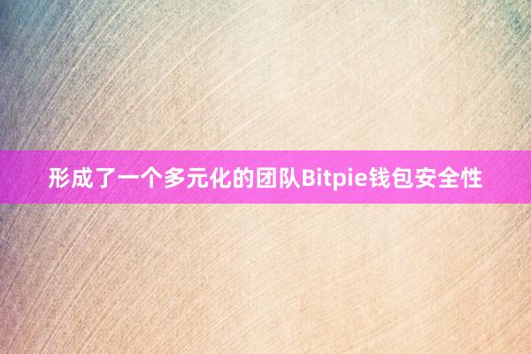 形成了一个多元化的团队Bitpie钱包安全性