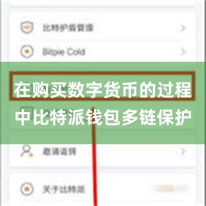 在购买数字货币的过程中比特派钱包多链保护