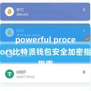 powerful processors比特派钱包安全加密指南